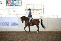 Class 321 Reg 3 Arabian Hunter Pleasure Championship JOTR 14-18 yrs