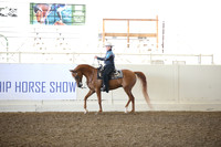 Class 322 Reg 3 Arabian Western Pleasure Championship Geldings