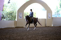 Class 323 Reg 3 HA/AA Hunter Pleasure Championship AATR Select