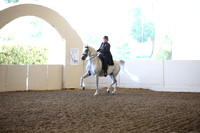 Class 327 Reg 3 HA/AA Country English Pleasure Championship AATR 19 yrs & Over