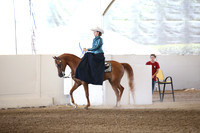 Class 328 Reg 3 Arabian Ladies Side Saddle Championship ATR
