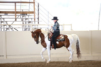Class 329 Reg 3 HA/AA Western Pleasure Championship