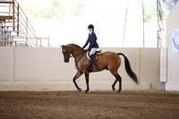 Class 330 Reg 3 HA/AA Hunter Pleasure Championship JOTR 18 yrs/Under