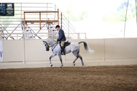 Class 331 Reg 3 Arabian Hunter Pleasure Championship