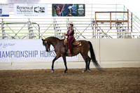 Class 332 Reg 3 Arabian Western Pleasure Championship AATR Choice/Elite