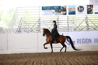 Class 333 Reg 3 Arabian Country English Pleasure Championship