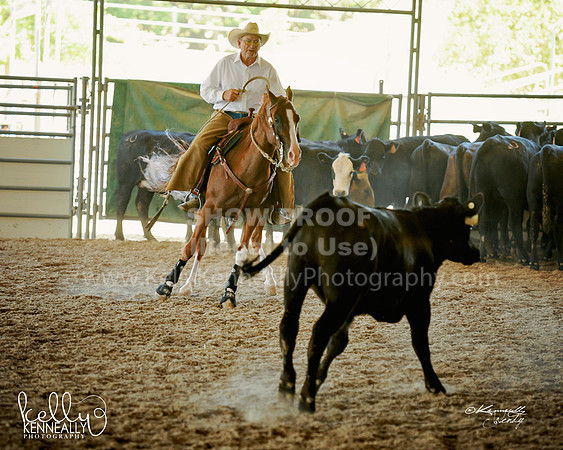 R318_WorkingCow_5549