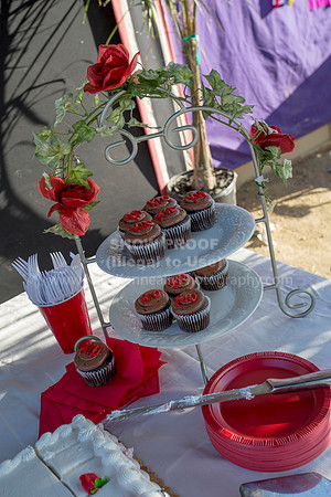 R318_BarnParty_1901