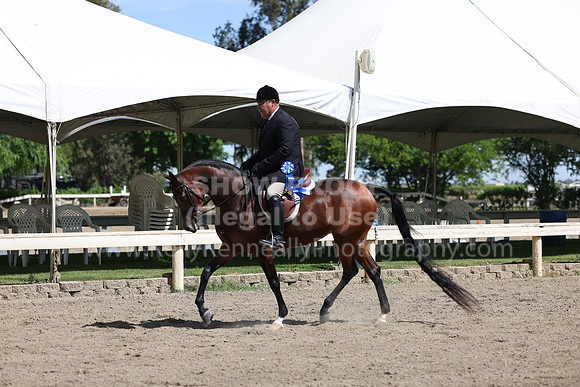 DAHA22_Thurs_0796