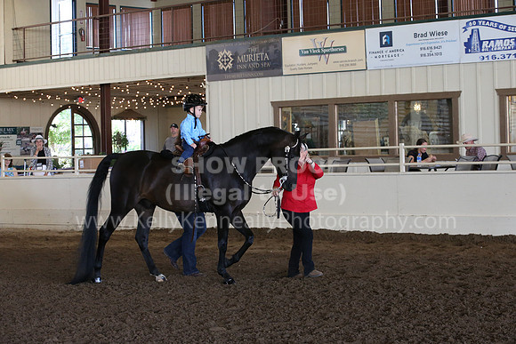 MLMH_2018_6864