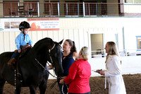 MLMH_2018_6879
