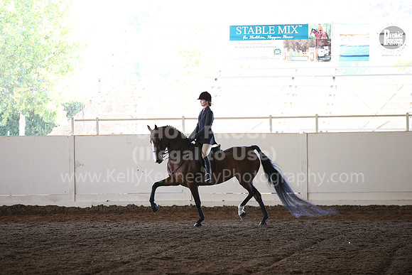 MLMH_2018_7036