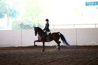 MLMH_2018_7037