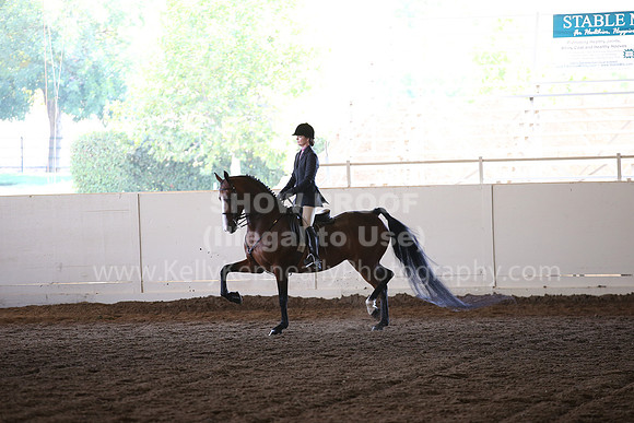 MLMH_2018_7037