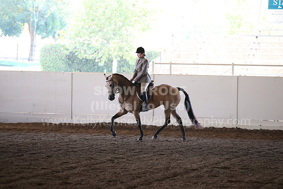MLMH_2018_7038