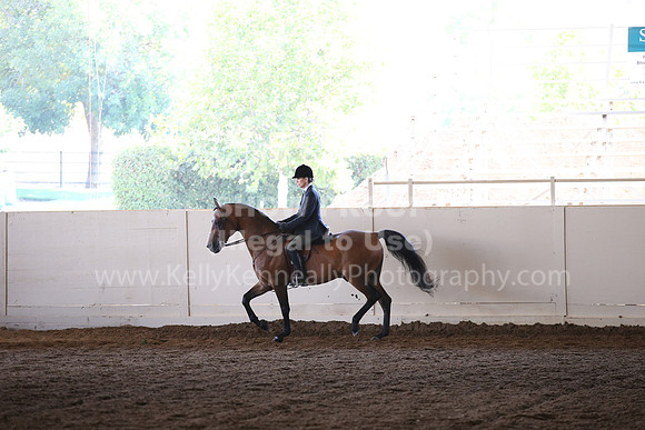MLMH_2018_7042