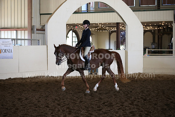 MLMH_2018_7083