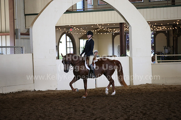 MLMH_2018_7088