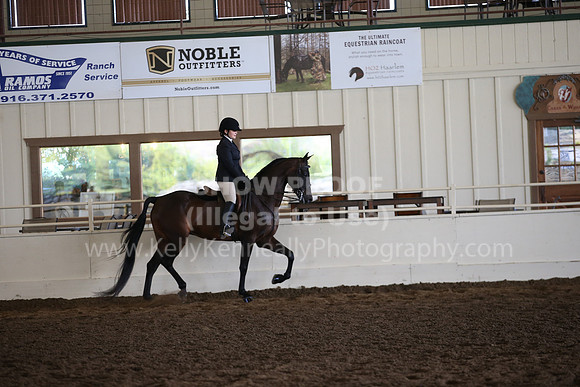 MLMH_2018_7103