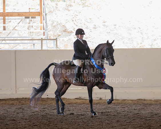 MLMH_2018_7142