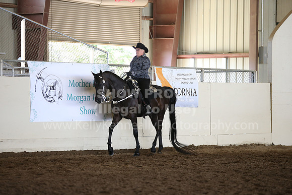MLMH_2018_7174