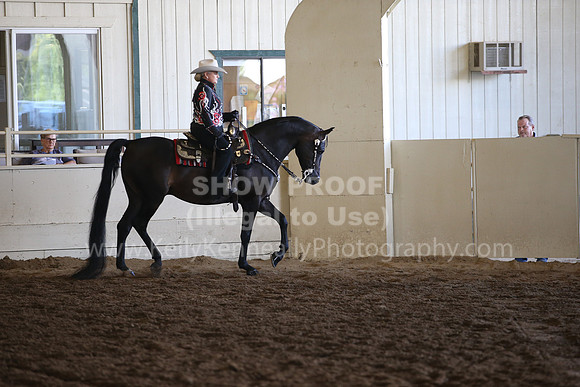 MLMH_2018_7190