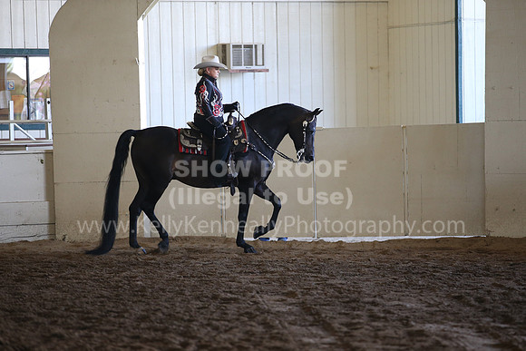 MLMH_2018_7192