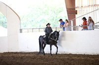 MLMH_2018_7194