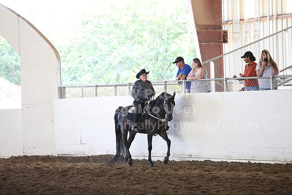 MLMH_2018_7194