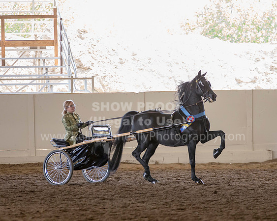 MLMH_2018_7252