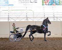 MLMH_2018_7249