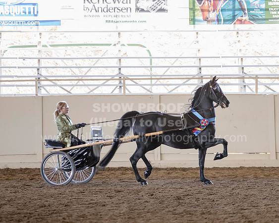 MLMH_2018_7249