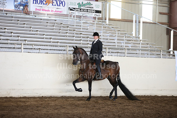 MLMH_2018_7295