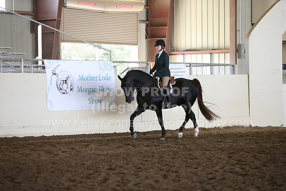 MLMH_2018_7297