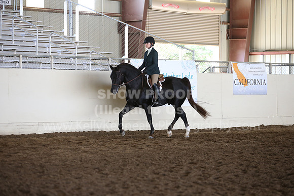 MLMH_2018_7298