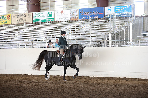 MLMH_2018_7304