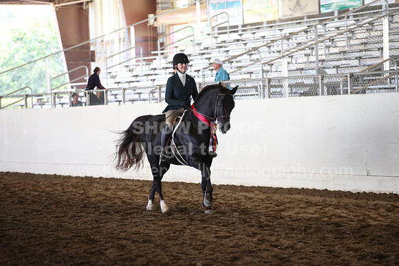 MLMH_2018_7310