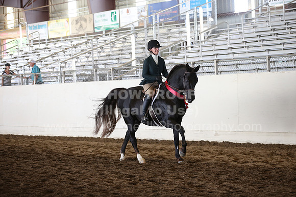 MLMH_2018_7312