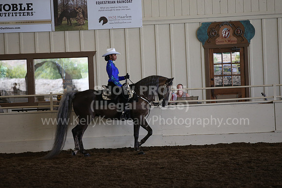 MLMH_2018_7501