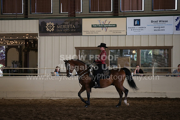 MLMH_2018_7595