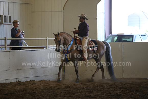 MLMH_2018_7630