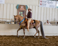Class 240 Morgan Western Pl Championship Open