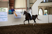 MLMH_2018_7677