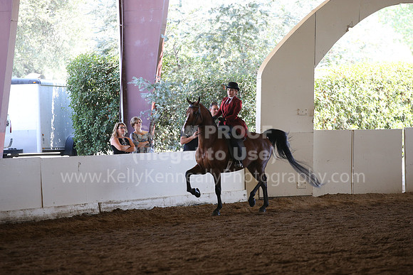MLMH_2018_7690
