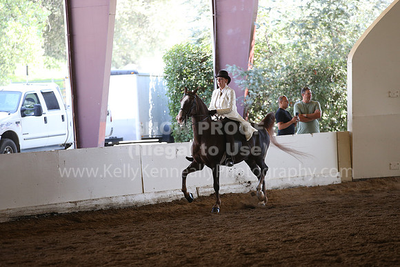 MLMH_2018_7695