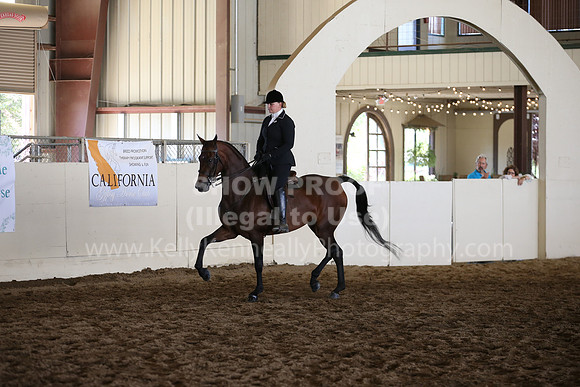 MLMH_2018_7742
