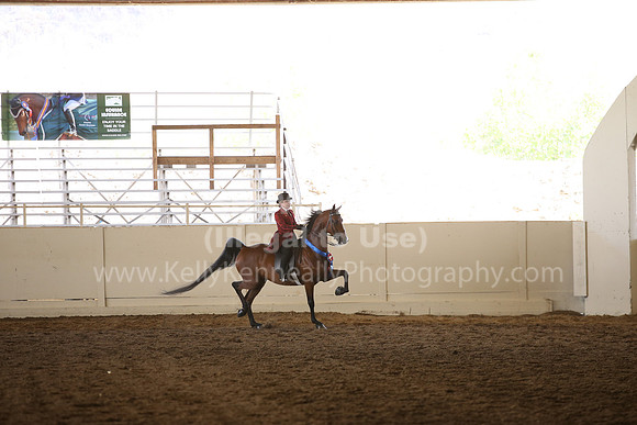 MLMH_2018_7719