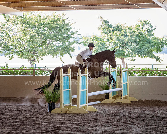 MLMH_2018WH_6303