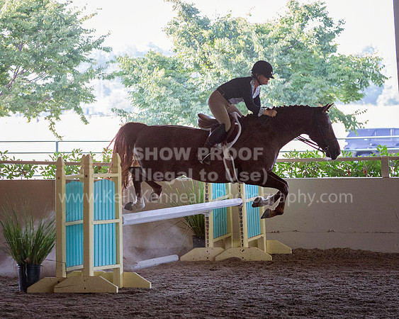 MLMH_2018WH_6333