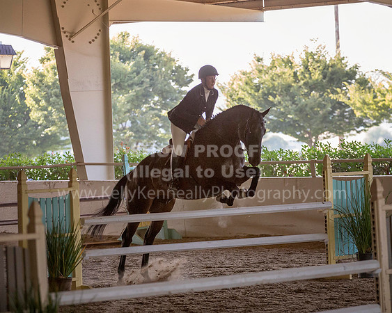 MLMH_2018WH_6335